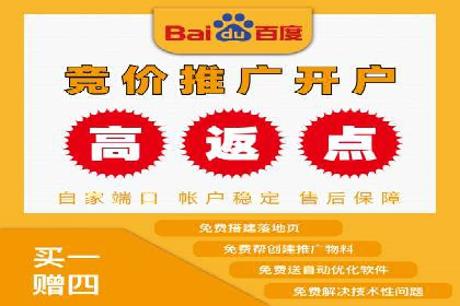 解析SEM竞价代运营公司的技术实力与服务优势